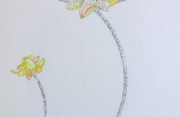 Diseños de Joyería